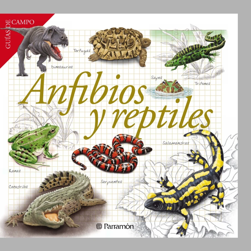 Portada: Anfibios y reptiles