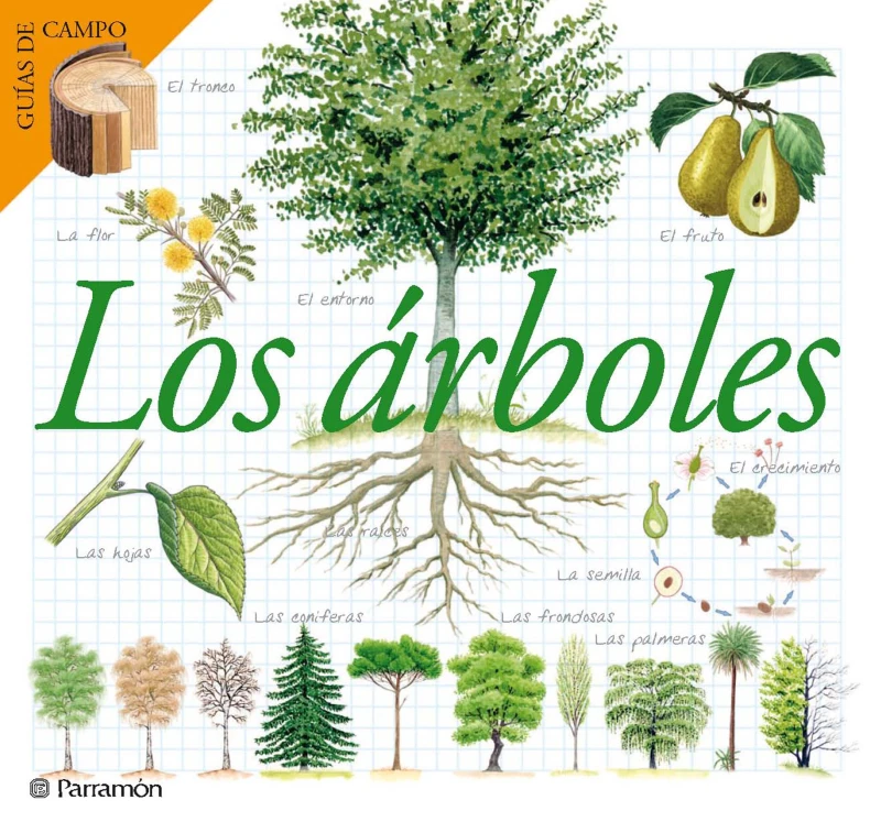 Portada: Los árboles