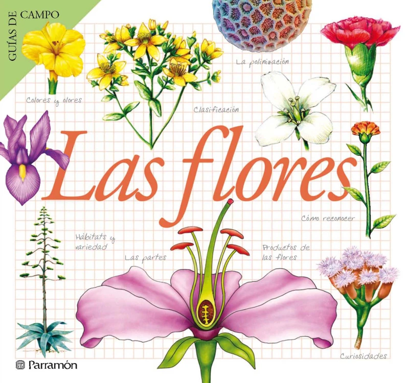 Portada: Las flores