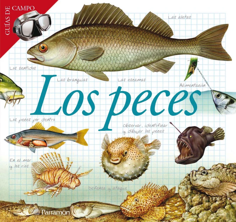 Portada: Los peces