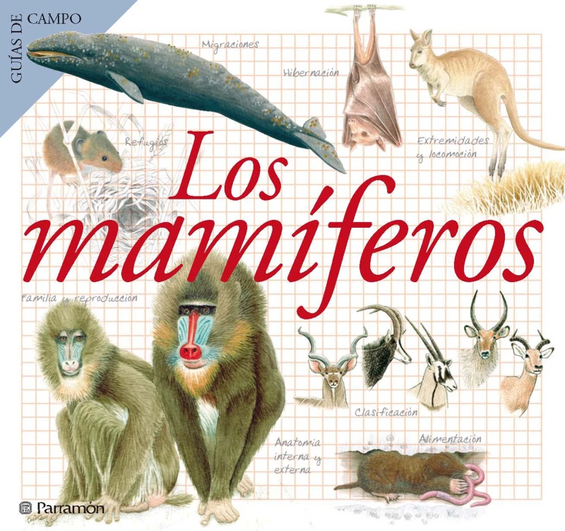 Portada: Los mamíferos