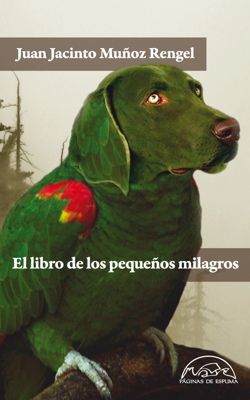 Portada: El libro de los pequeños milagros