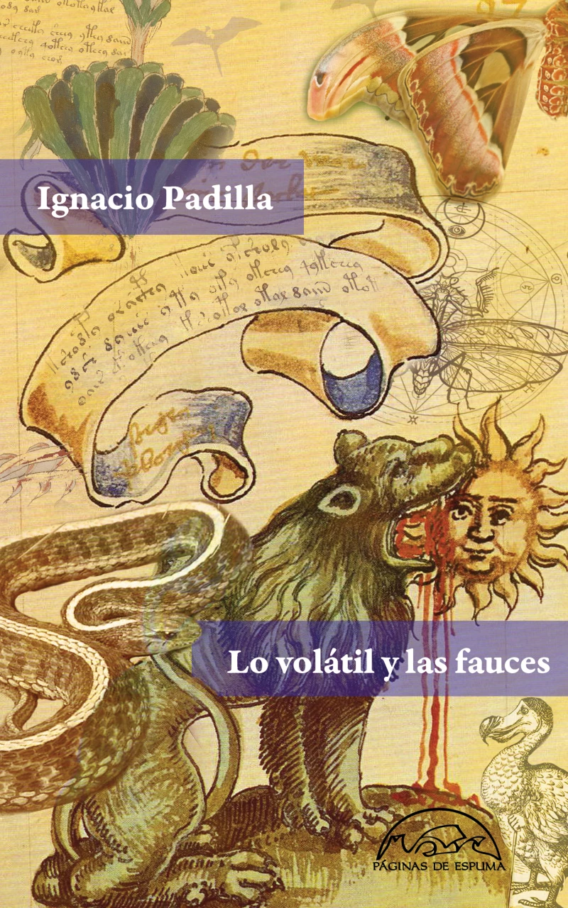 Portada: Lo volátil y las fauces