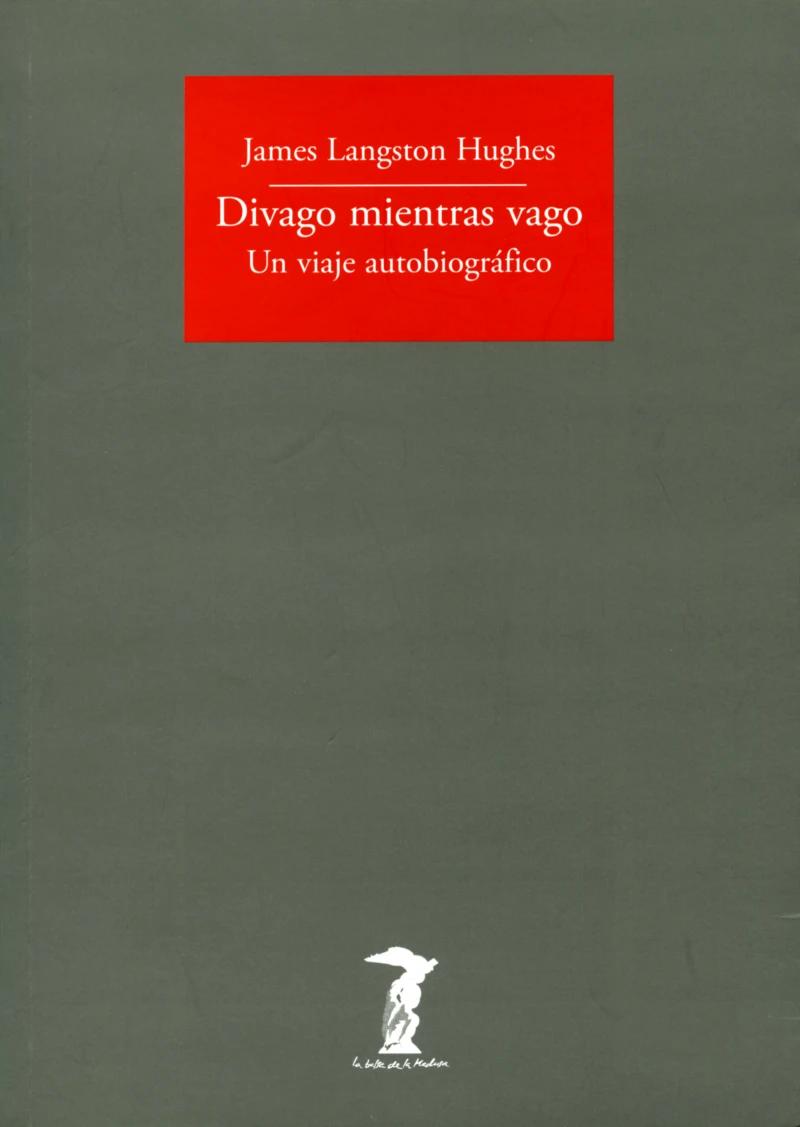 Portada: Divago mientras vago
