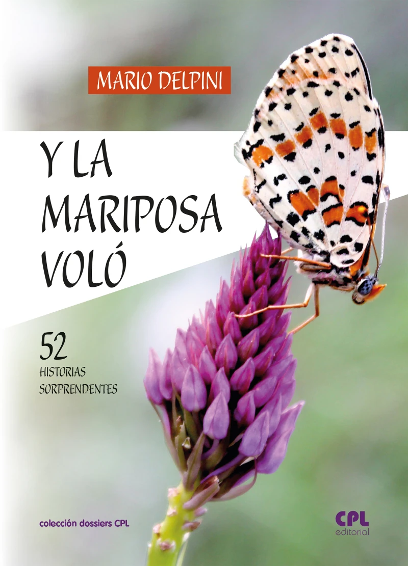 Portada: Y la mariposa voló