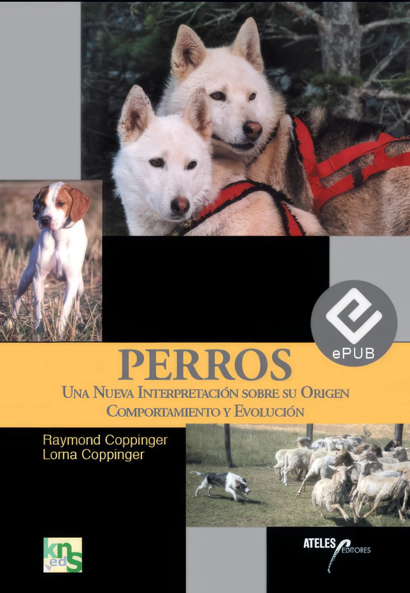 Portada: Perros