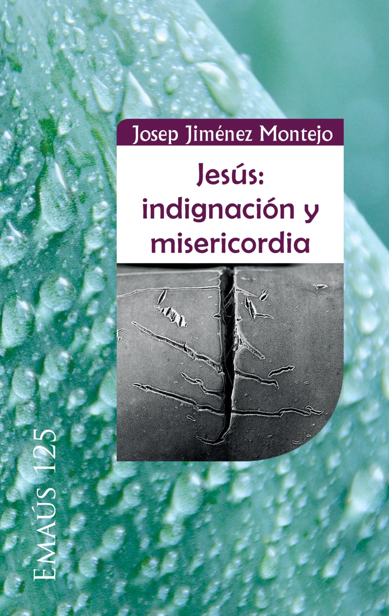 Portada: Jesús: indignación y misericordia