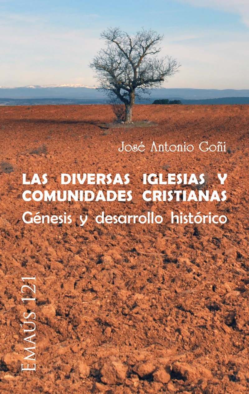 Portada: Las diversas Iglesias y comunidades cristianas