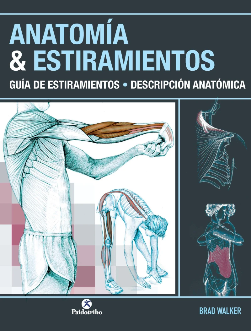 Portada: Anatomía & Estiramientos