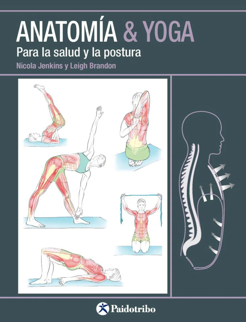 Portada: Anatomía & Yoga