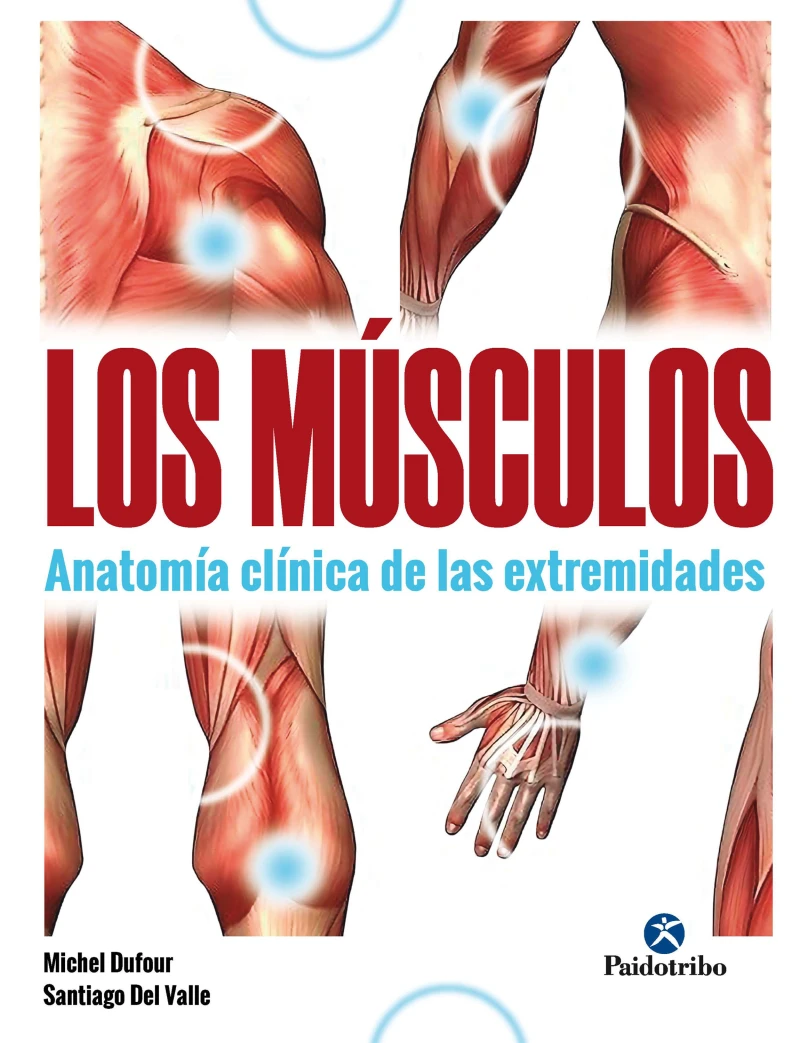 Portada: Los músculos