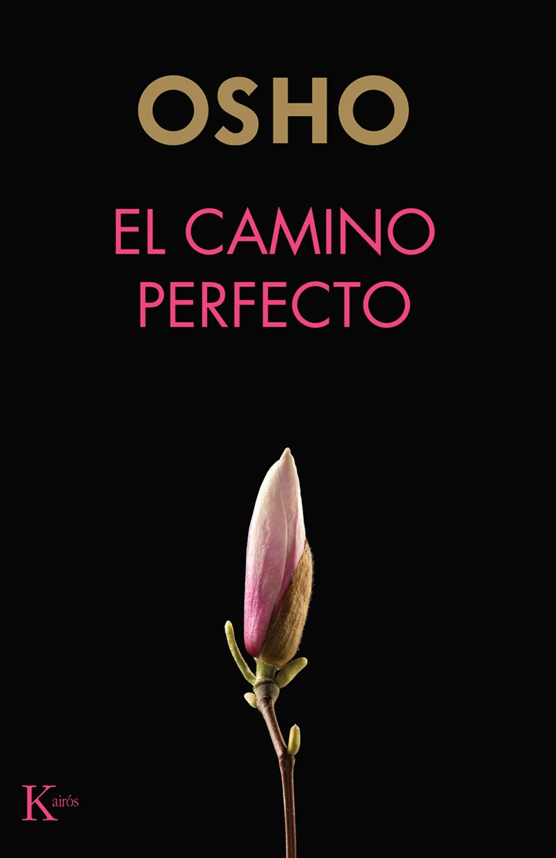 Portada: El camino perfecto