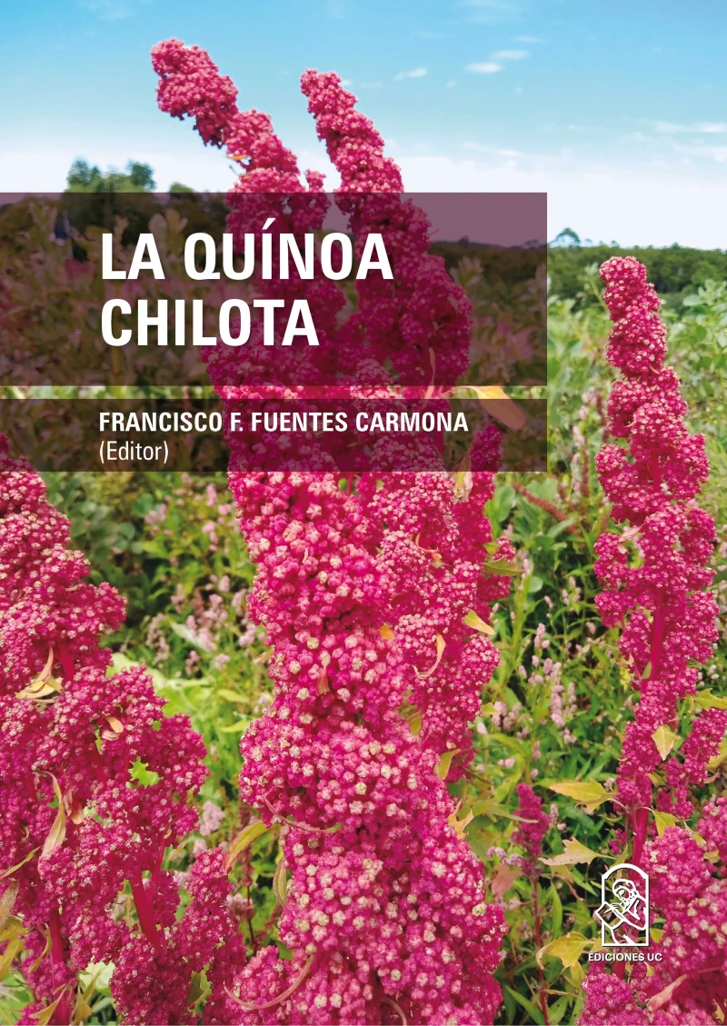 Portada: La quínoa chilota