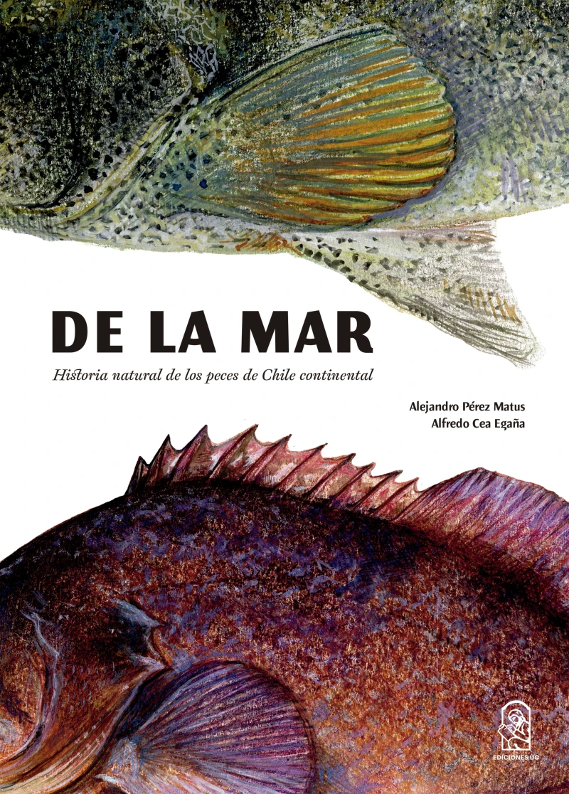 Portada: De la mar