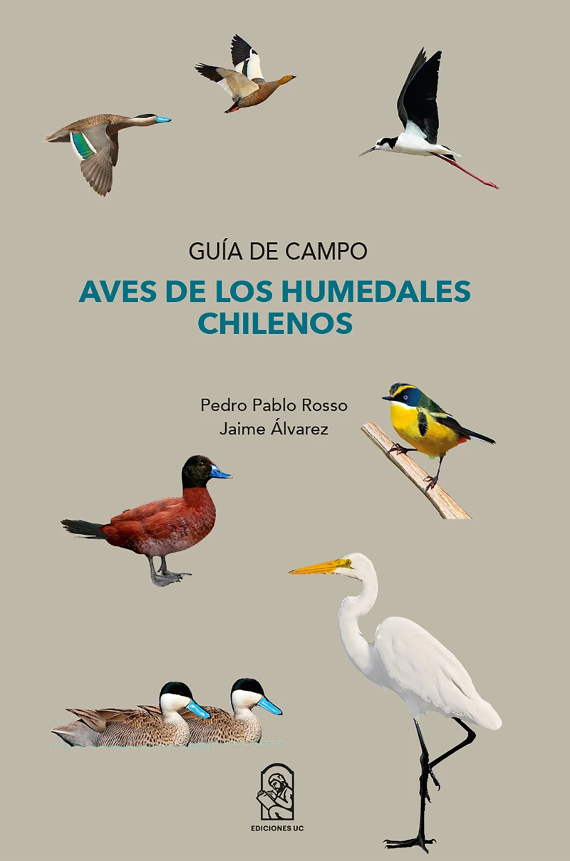 Portada: Aves de los humedales chilenos