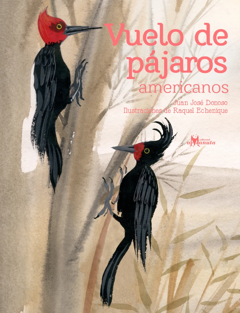 Portada: Vuelo de pájaros americanos