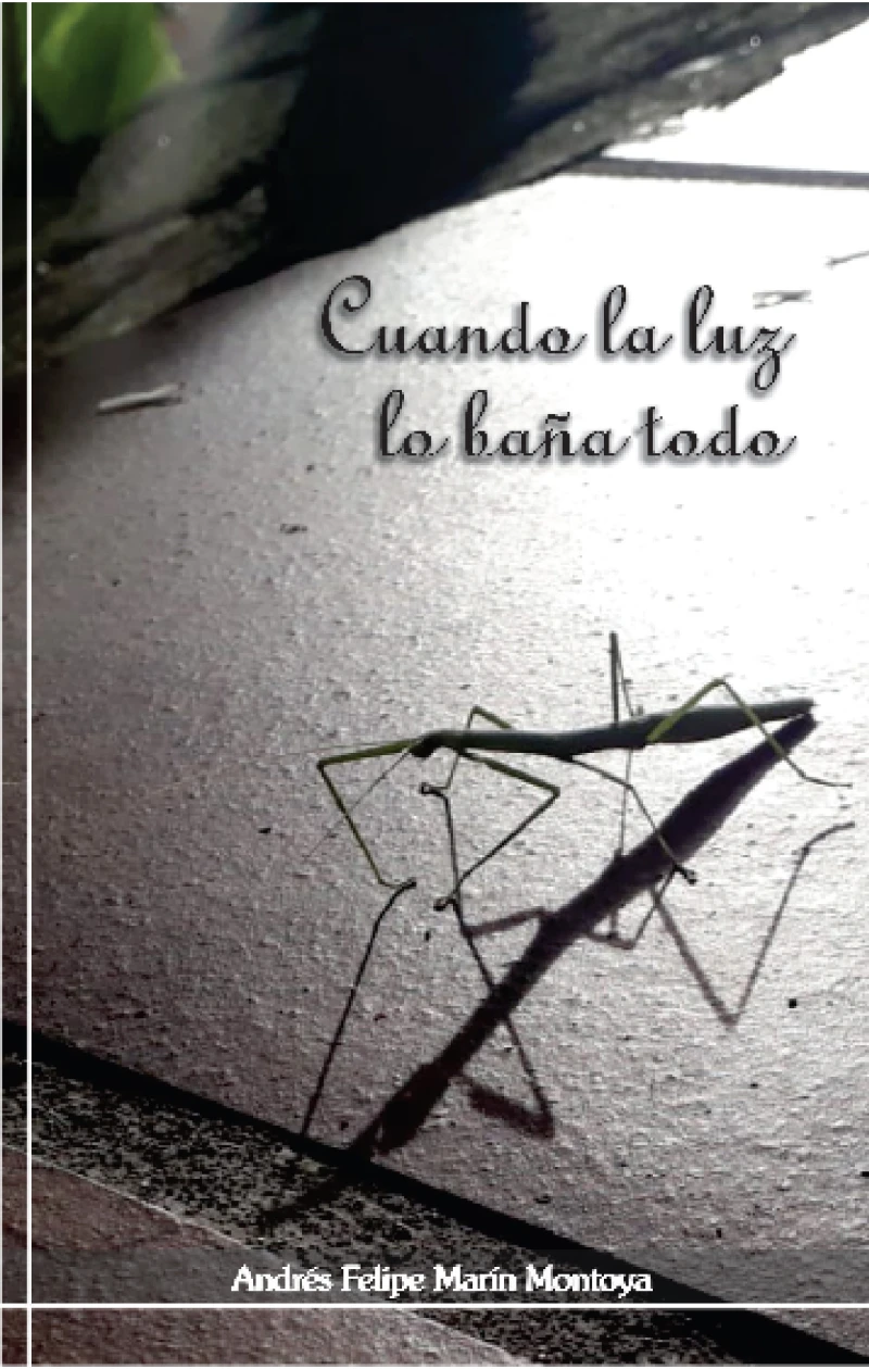 Portada: Cuando la luz lo baña todo
