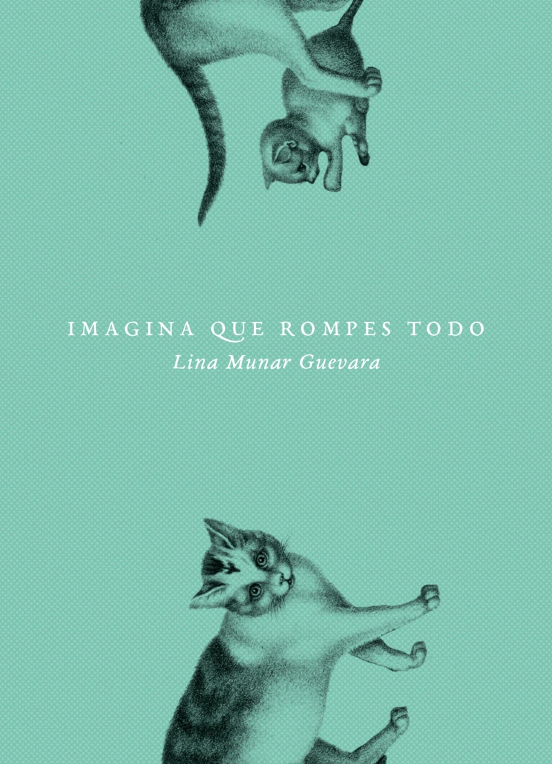Portada: Imagina que rompes todo