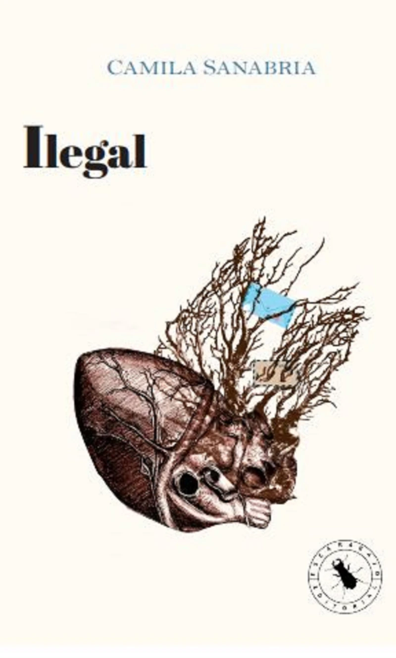 Portada: Ilegal