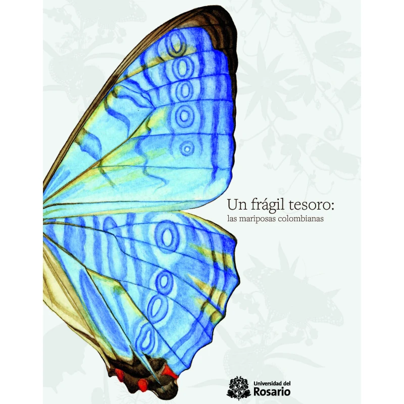 Portada: Un frágil tesoro: las mariposas colombianas