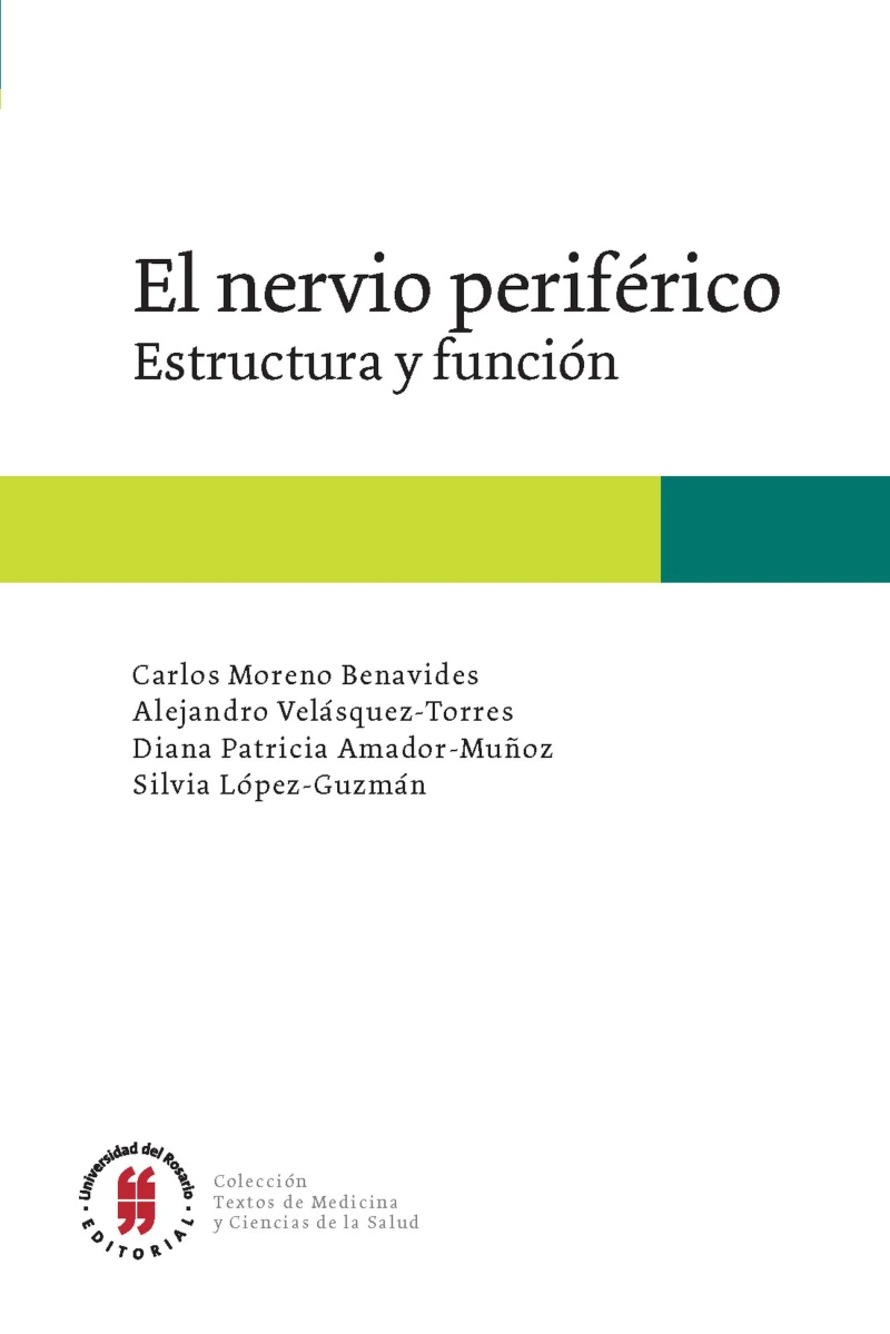 Portada: El nervio periférico