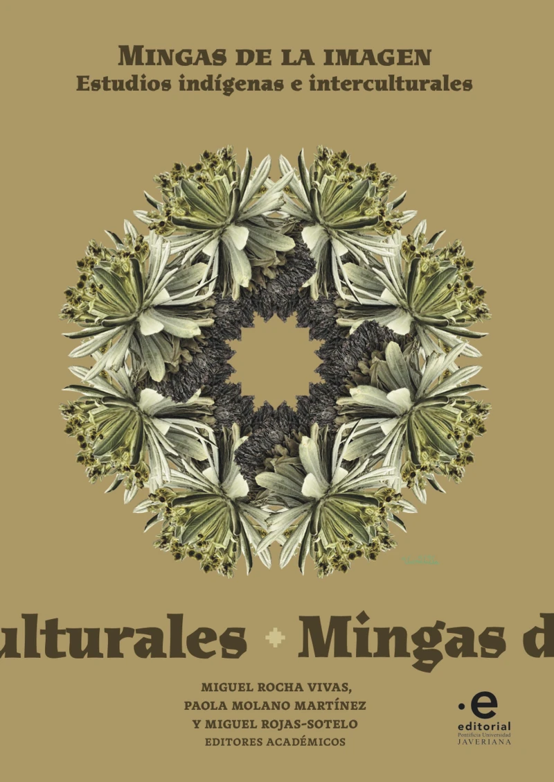 Portada: Mingas de la imagen