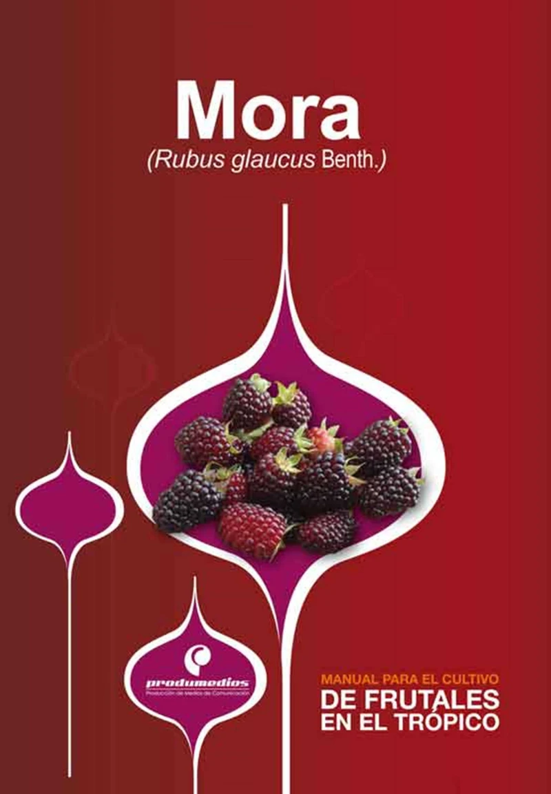 Portada: Manual para el cultivo de frutales en el trópico. Mora