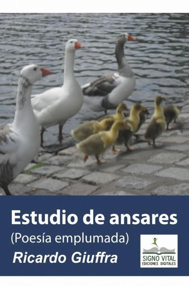 Portada: Estudio de Ansares