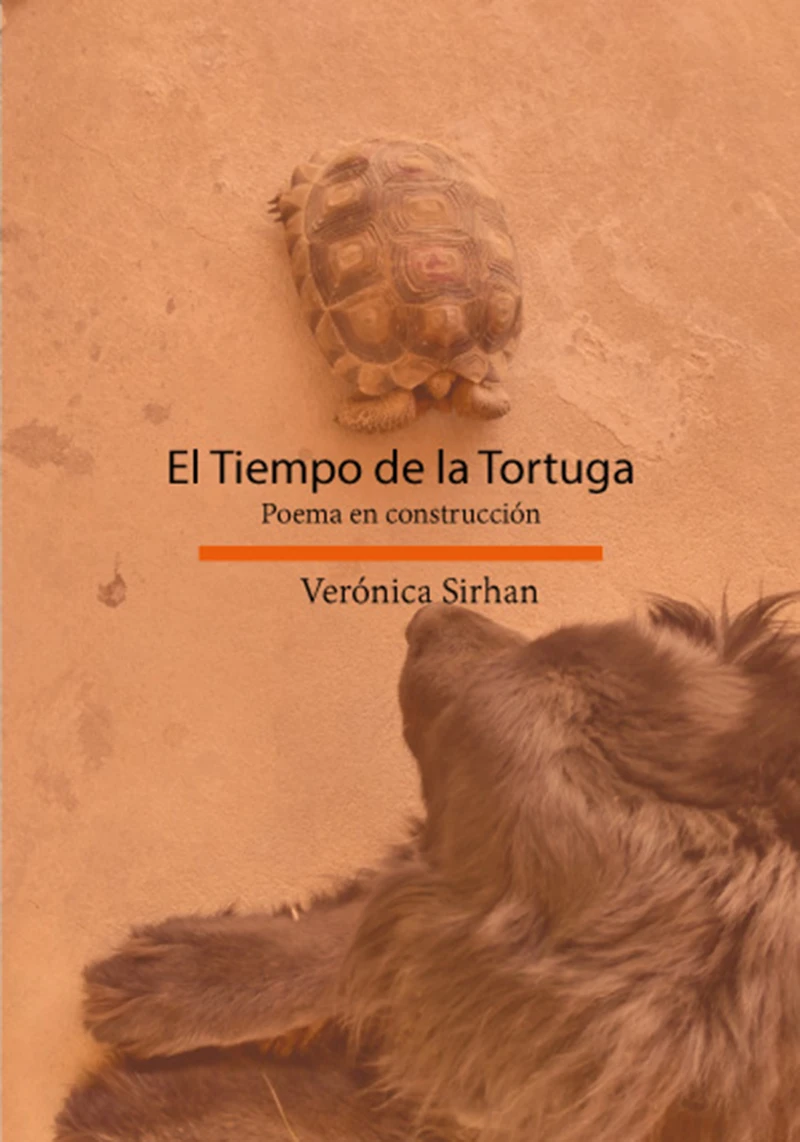 Portada: El Tiempo de la Tortuga