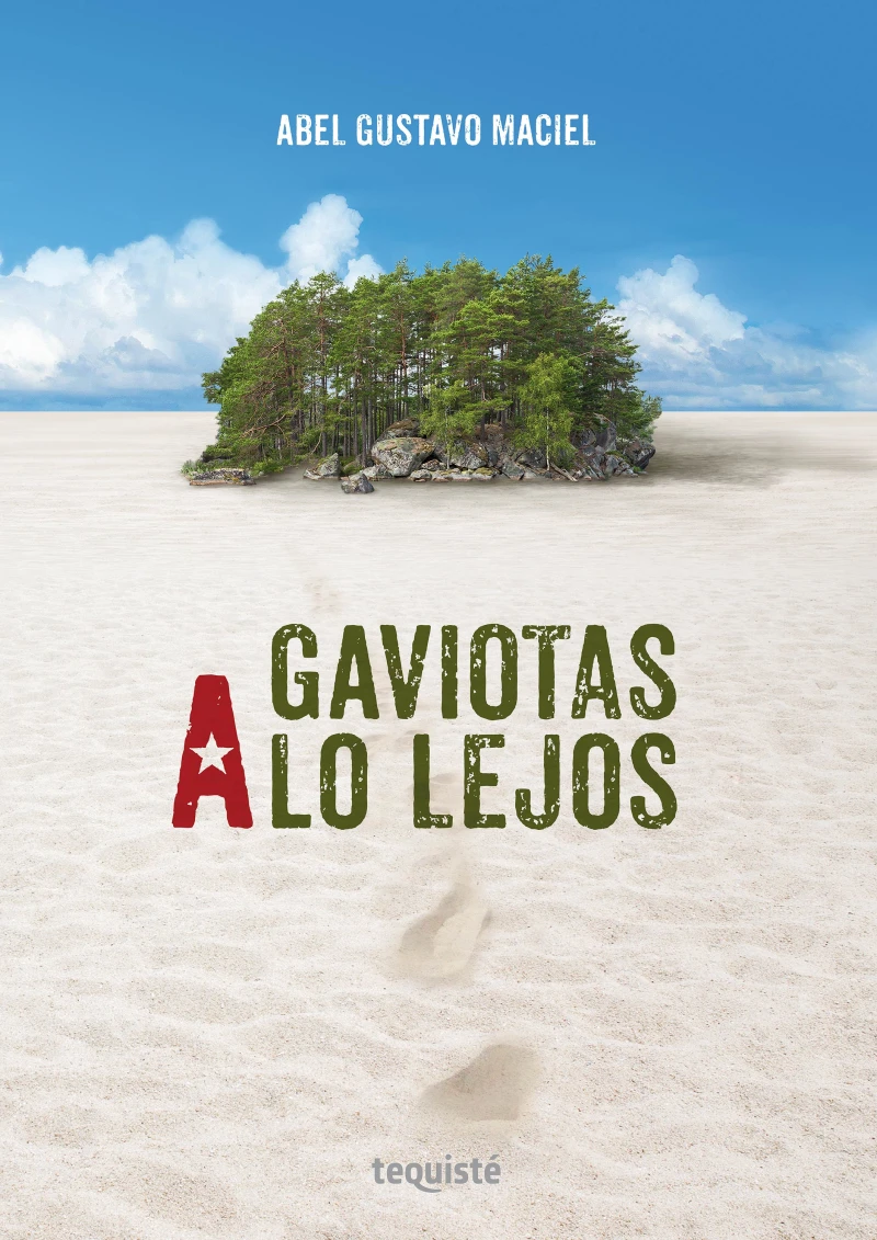 Portada: Gaviotas a lo lejos
