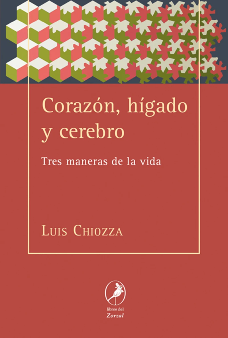 Portada: Corazón, hígado y cerebro