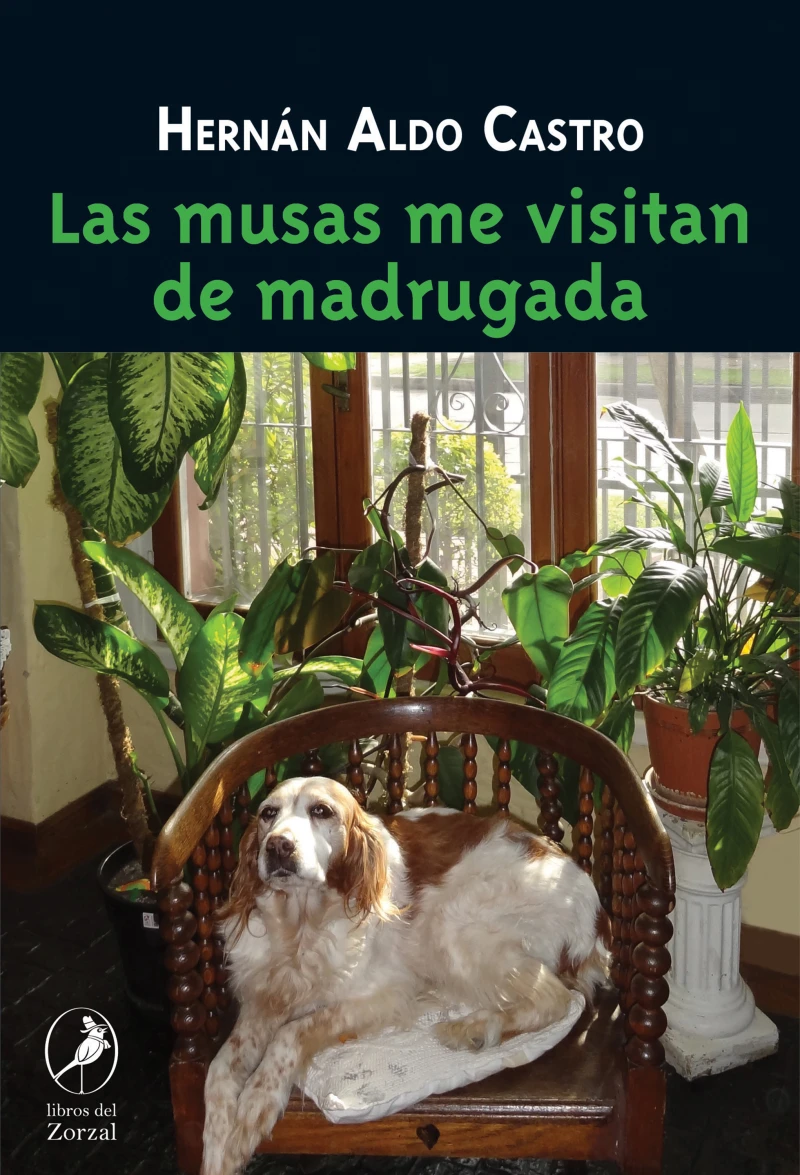 Portada: Las musas me visitan de madrugada