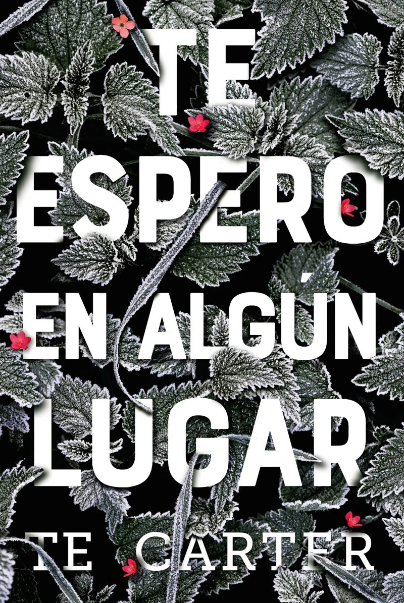 Portada: Te espero en algún lugar
