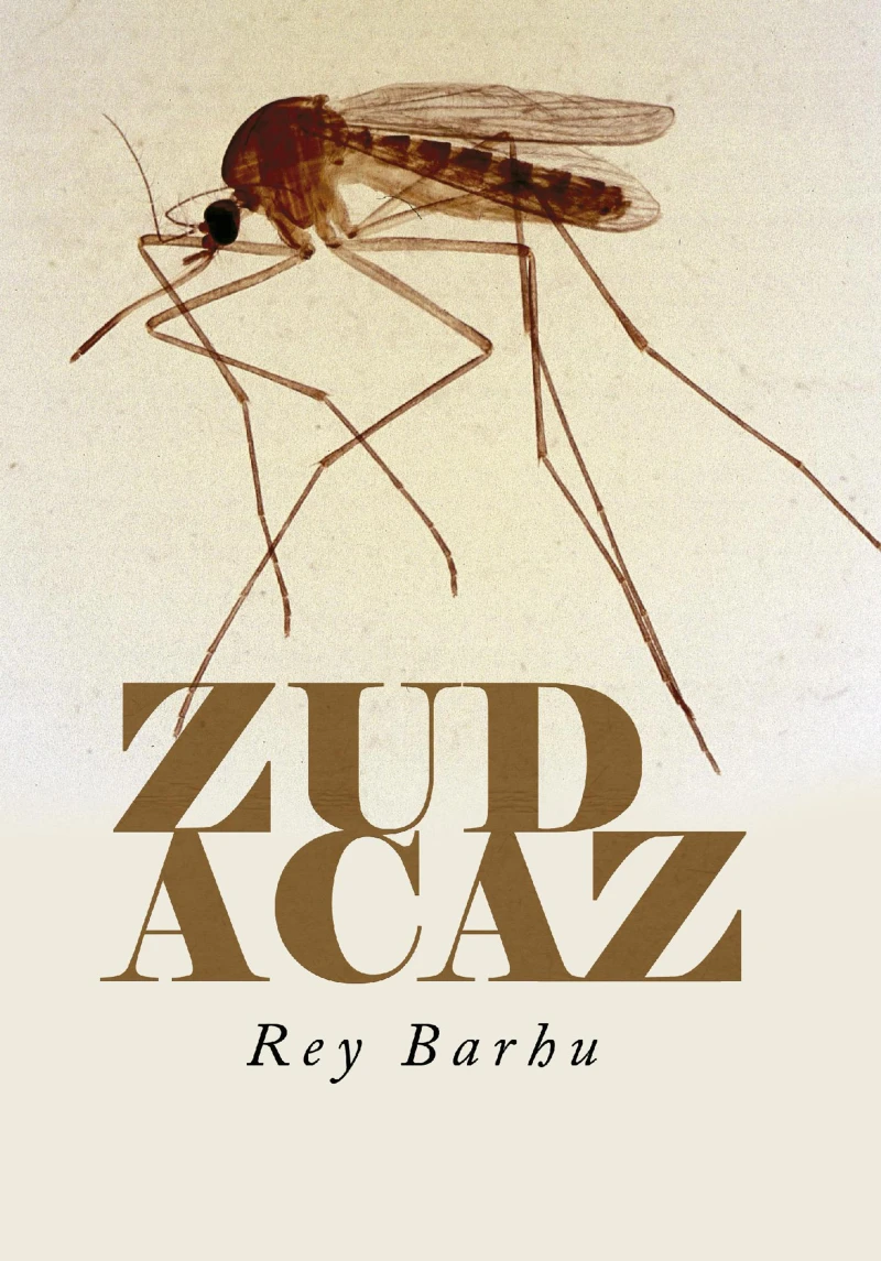 Portada: Zudacaz