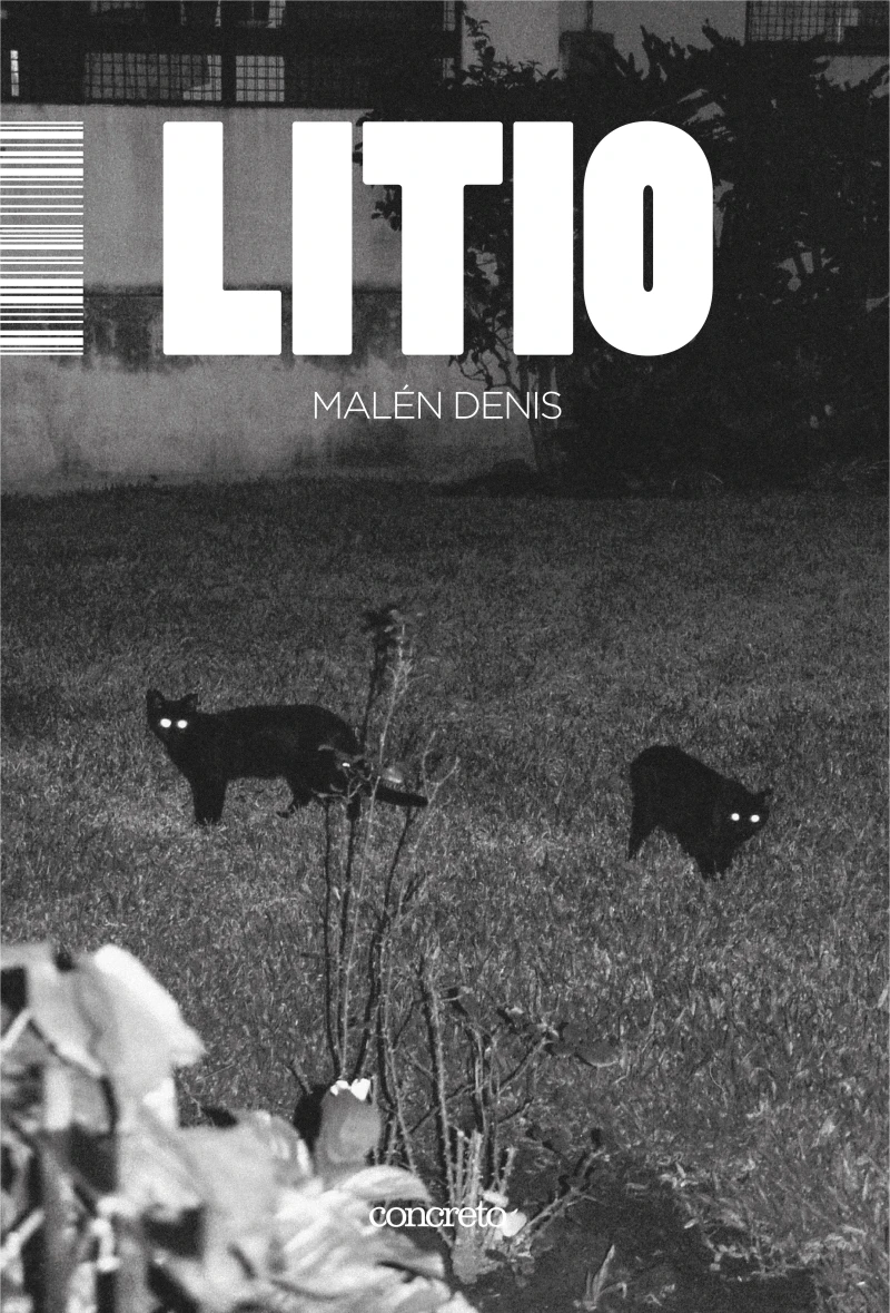Portada: Litio