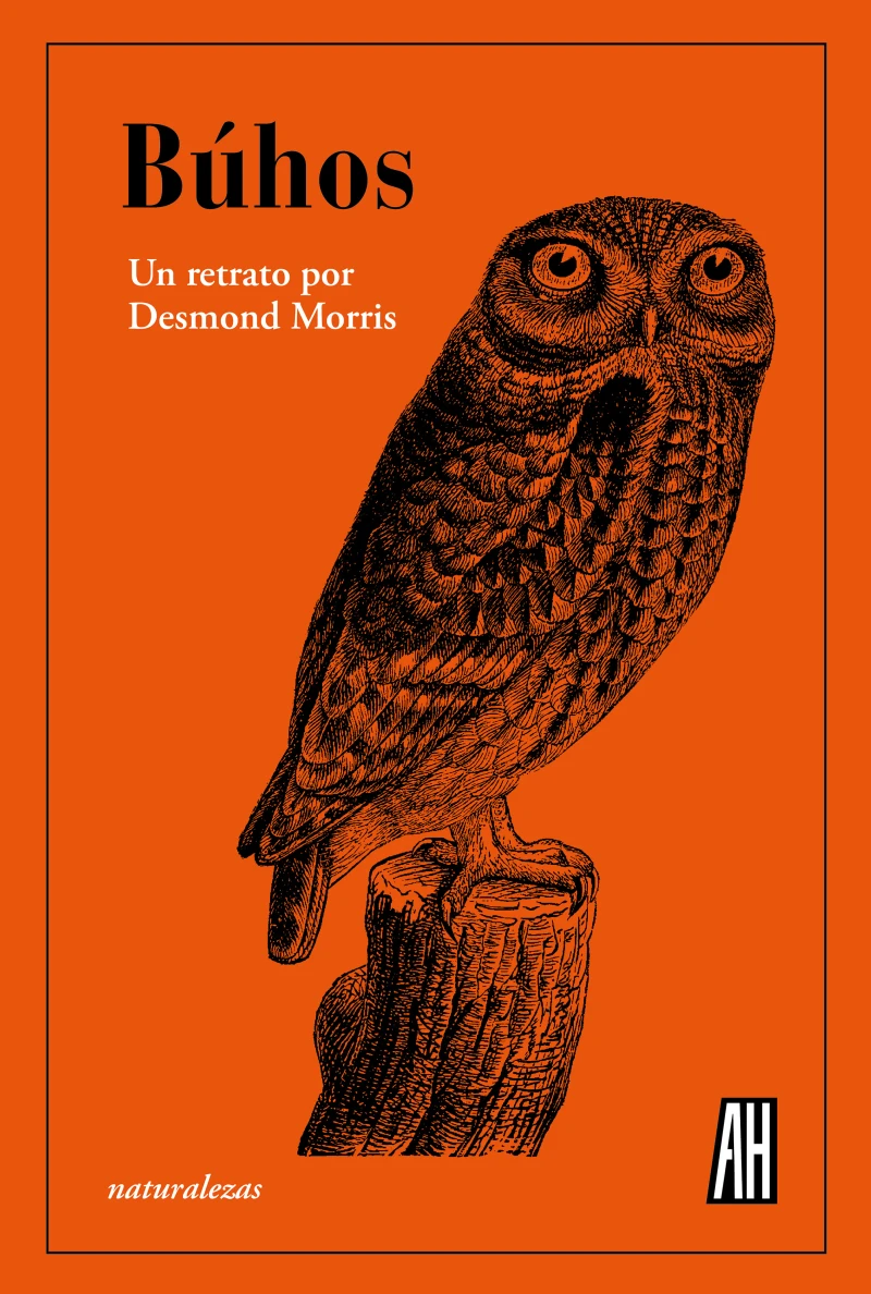 Portada: Búhos