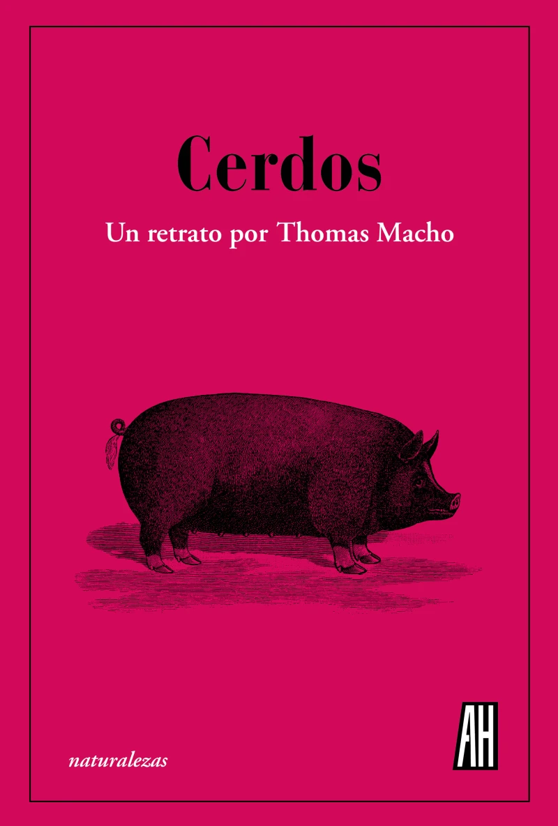 Portada: Cerdos