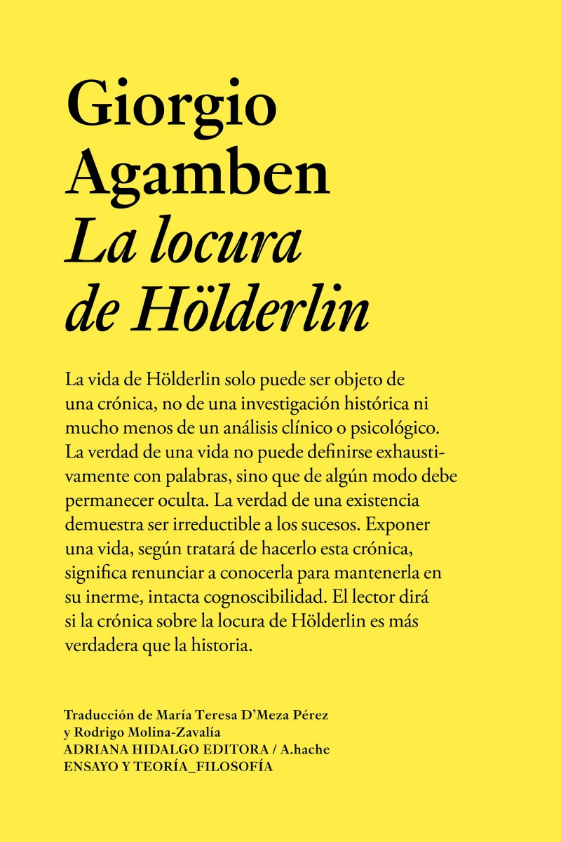 Portada: La locura de Hölderlin