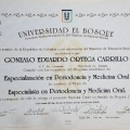 Ampliar imagen: certificate 5