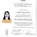 Ampliar imagen: certificate 4