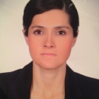 Dra. Karen Pineda Solís