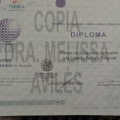 Ampliar imagen: certificate 16