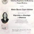 Ampliar imagen: certificate 1