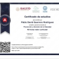 Ampliar imagen: certificate 7