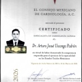 Ampliar imagen: certificate 3
