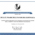 Ampliar imagen: certificate 1