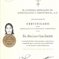 Ampliar imagen: certificate 10