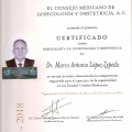 Ampliar imagen: certificate 130