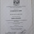 Ampliar imagen: certificate 3