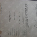 Ampliar imagen: certificate 25